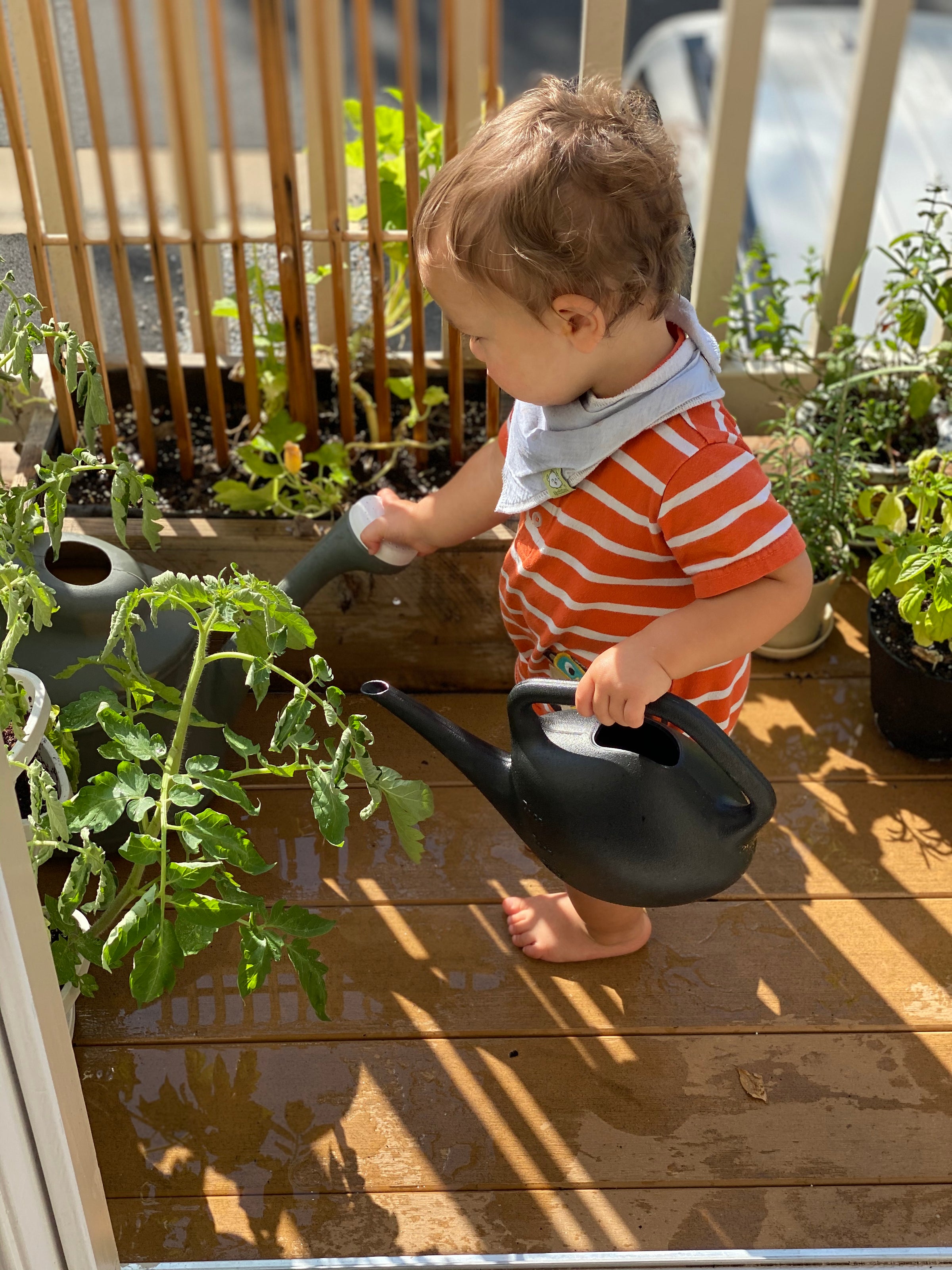 Gardening With Tiny Hands