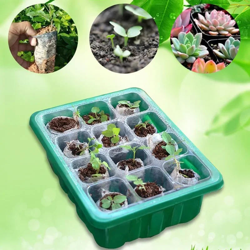 12 Cell Seedling Nursery Tray